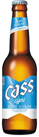 카스 라이트